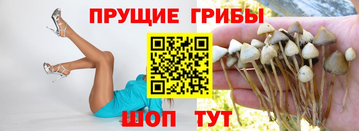 Псилоцибиновые грибы ЛСД  Псилоцибиновые грибы Magic Shrooms  Вход с VPN  Сергиев Посад 